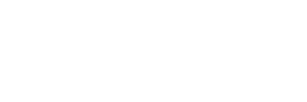 Logo Porto Sudeste